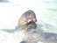 Classic Travel - Gallery - Galapagos